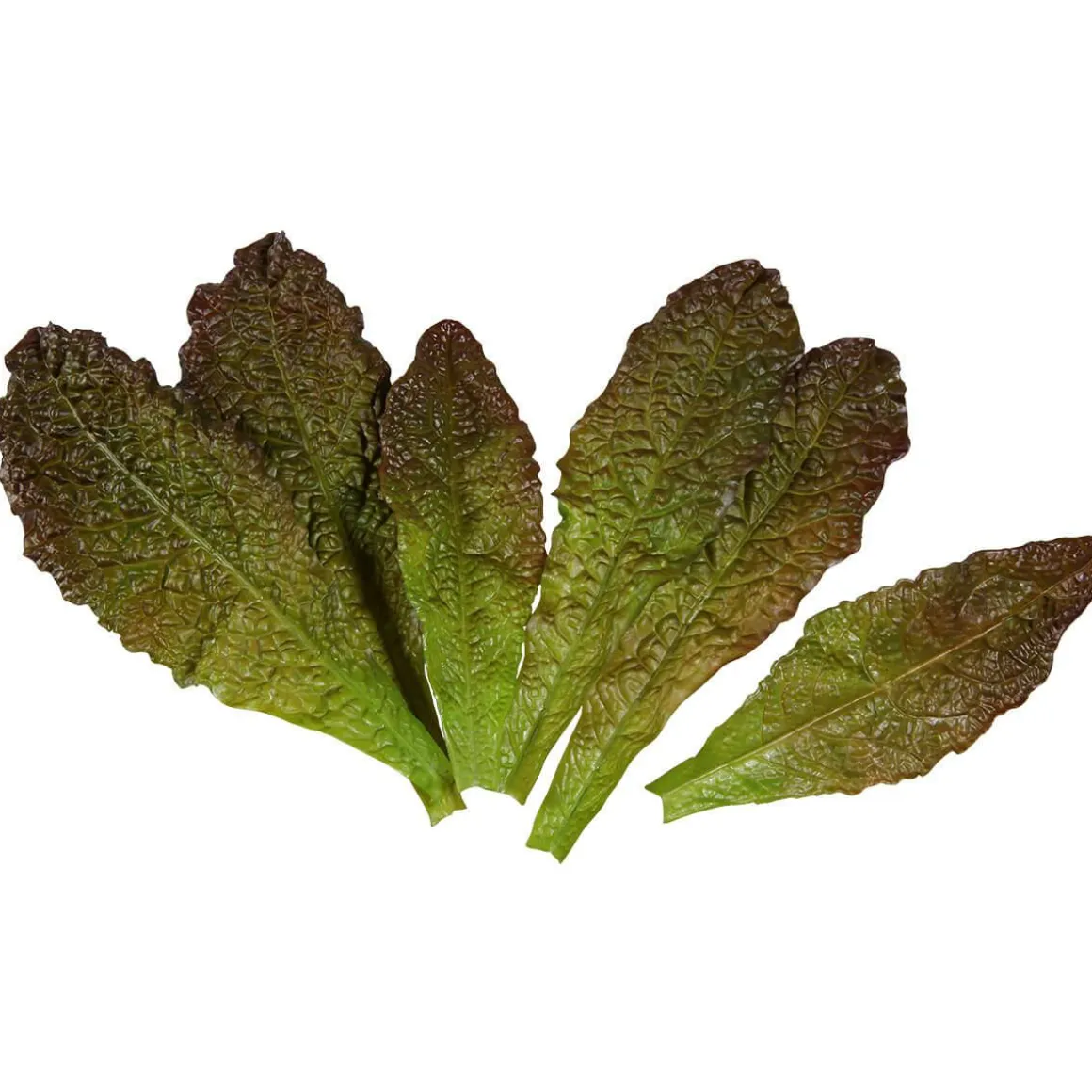Imitación De Hojas De Lechuga Romana Verde - Rojo, 6 Piezas