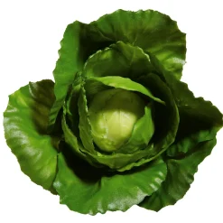 Imitación De Repollo, Ø 13 Cm