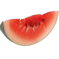 Imitación De Sandía 16 Cm