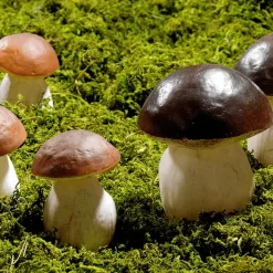 Imitación De Seta De Calabaza 14 Cm, 2 Piezas