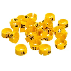 Jinete De Número, Amarillo Talla 36