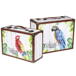 Juego De Maletas Decorativo Paraíso 2 Piezas