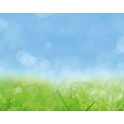 Lona XXL "Hierba De Primavera" De Lona De Camión Ignífuga 250 X 330 Cm