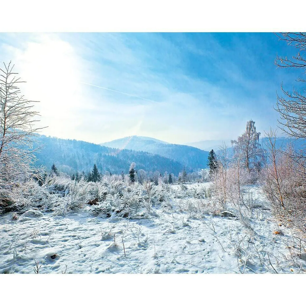 Lona XXL "Paisaje De Invierno" De Lona De Camión Ignífuga 250 X 330 Cm