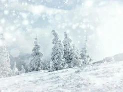 Lona XXL "Paisaje De Nieve" De Lona De Camión Ignífuga 250 X 330 Cm