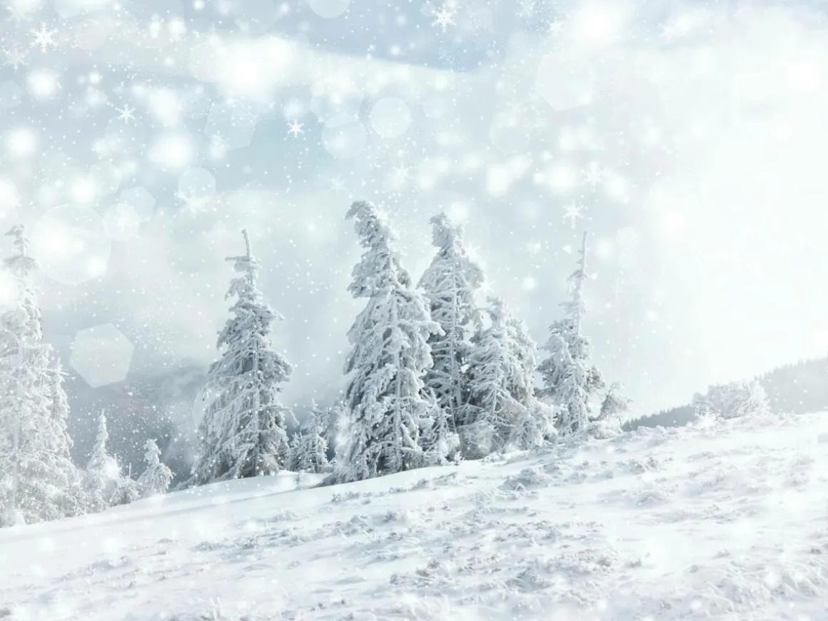 Lona XXL "Paisaje De Nieve" De Lona De Camión Ignífuga 250 X 330 Cm