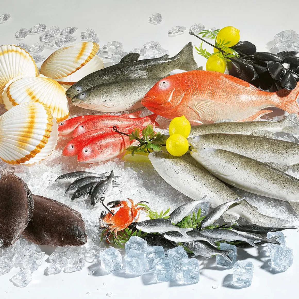Maniquí De Salmonete De Mar