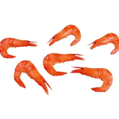 Maniquíes De Gambas, Pack De 6 Piezas