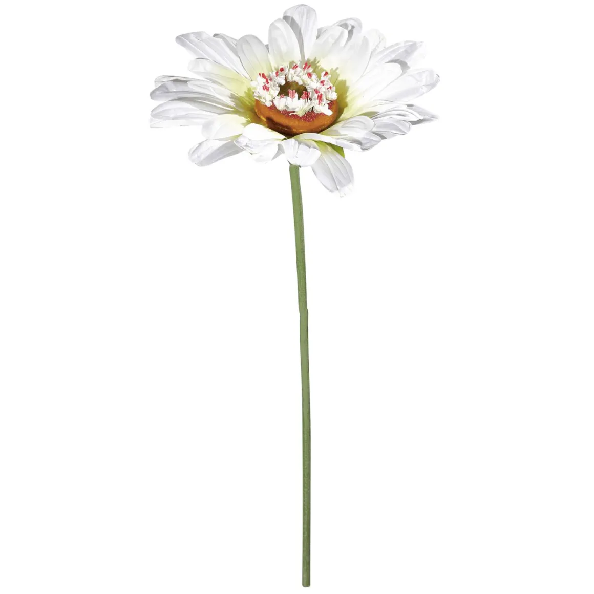 Margarita Gigante Blanca, 100 Cm, Ø 36 Cm