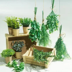 Menta Decorativa En Tiesto De Barro 20 Cm