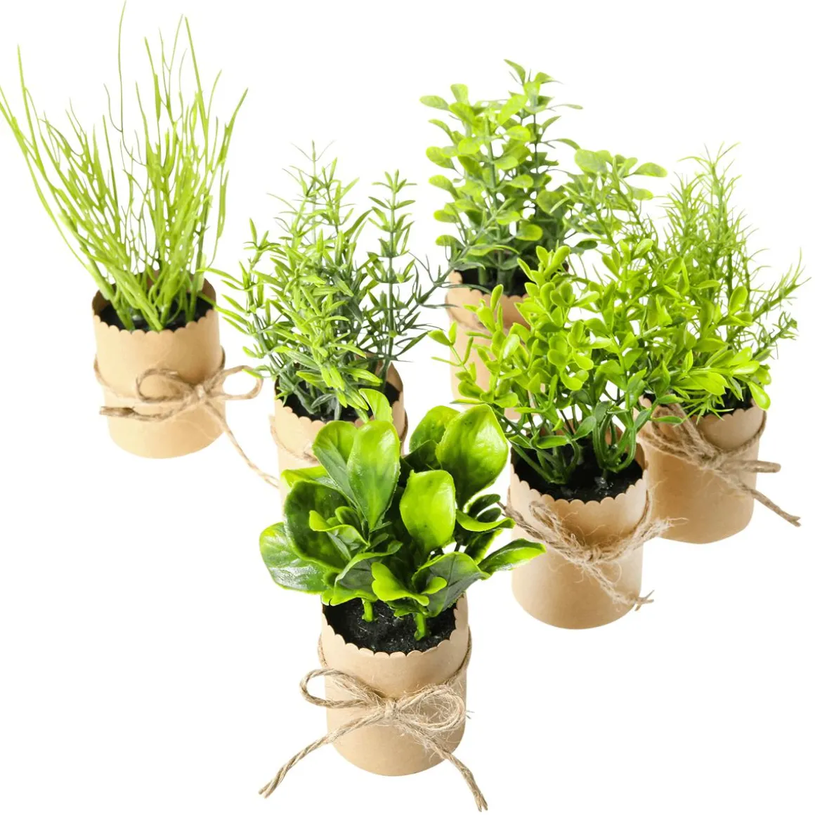 Mini Hierbas En Maceta 6 Piezas 15 Cm