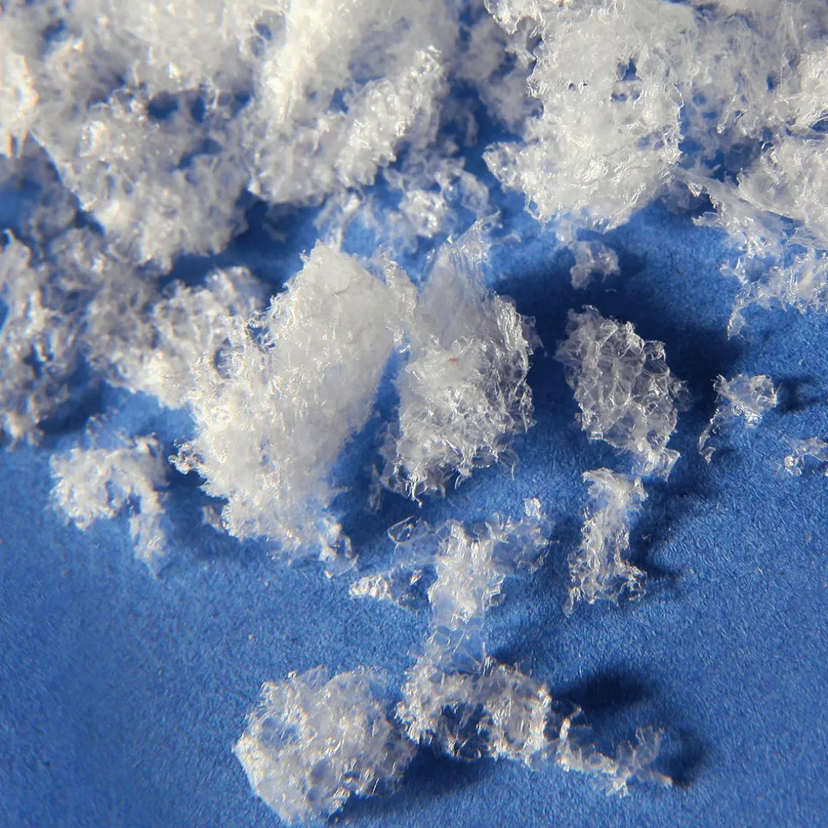 Nieve Orgánica 50g Para 1 Litro De Volumen