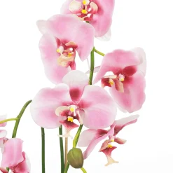 Orquídea Decorativa En Maceta Rosa 80 Cm