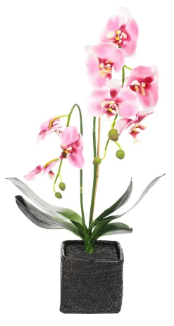 Orquídea Decorativa En Maceta Rosa 80 Cm