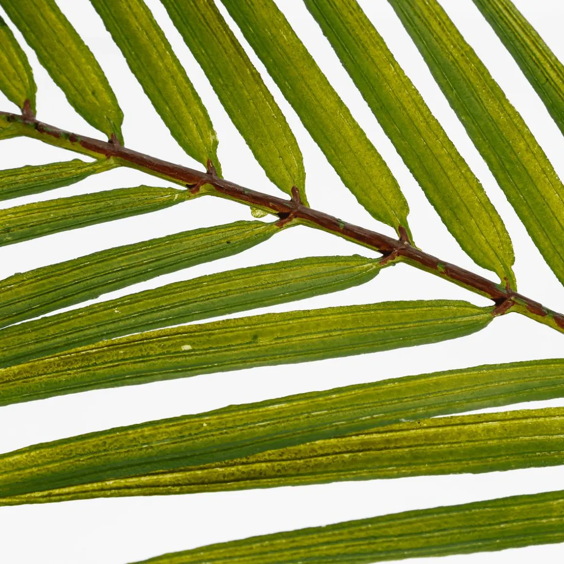 Palmera Artificial Frondas De Palmera Verde 80 Cm