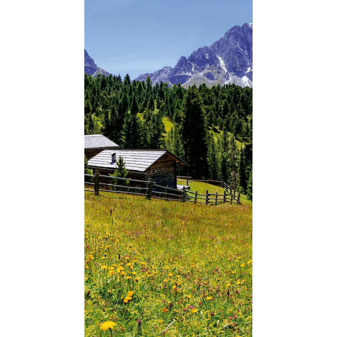 Pancarta De Tela Ignífuga "Pasto De Montaña Con Cabaña" De Tela De Bandera 100 X 200 Cm