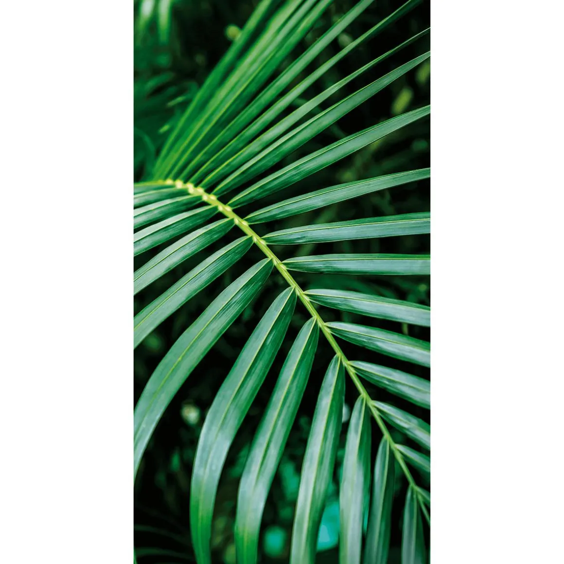 Pancarta De Tela Ignífuga "Palm Frond" De Tela De Bandera 100 X 200 Cm