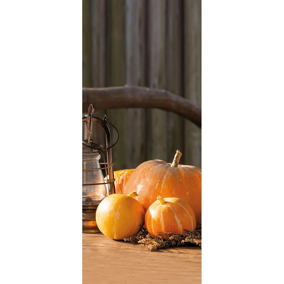 Pancarta De Tela Ignífuga "Calabaza Con Farol" De Tela De Bandera 75 X 180 Cm