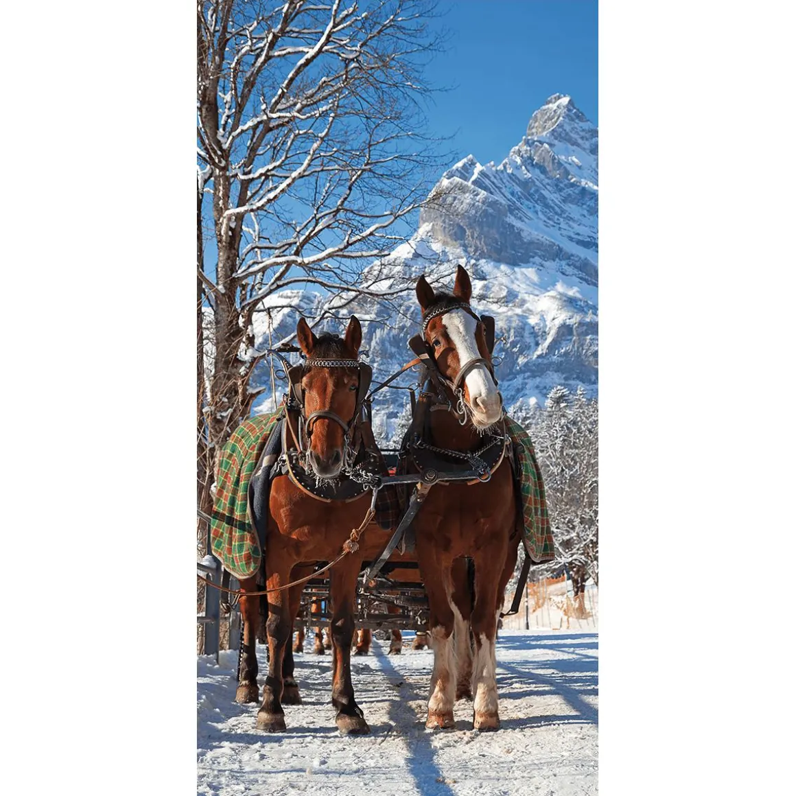Pancarta De Tela Ignífuga "Carro De Caballos En La Nieve" De Tela De Bandera 100 X 200 Cm