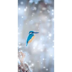 Pancarta De Tela Ignífuga "Kingfisher" De Tela De Bandera 100 X 200 Cm
