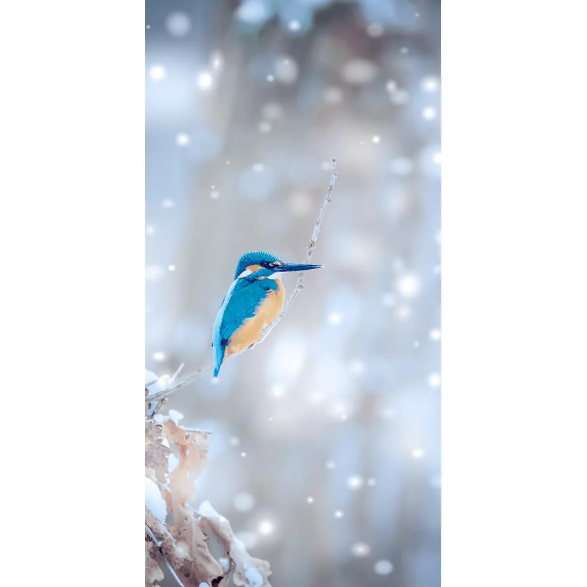 Pancarta De Tela Ignífuga "Kingfisher" De Tela De Bandera 100 X 200 Cm
