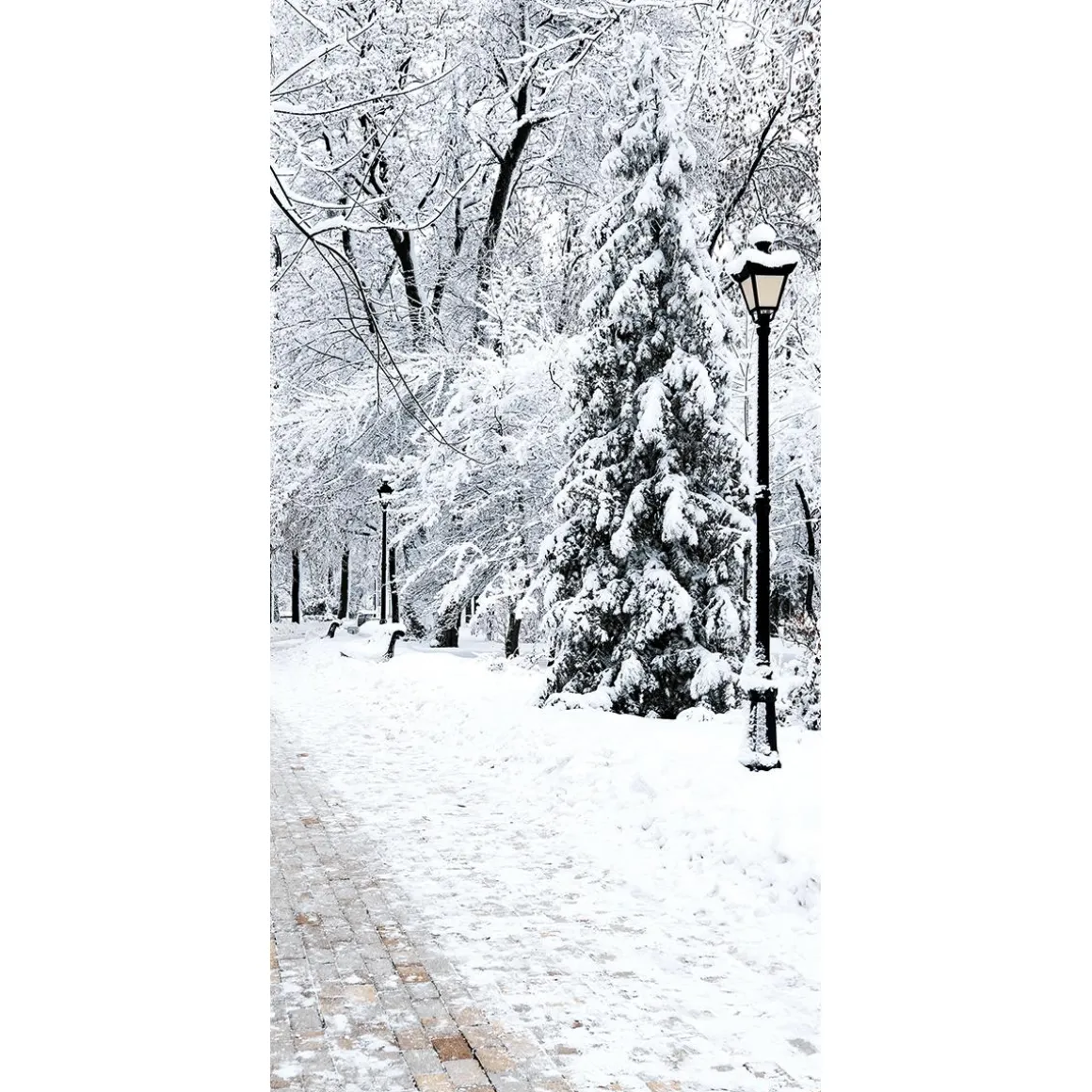 Pancarta De Tela Ignífuga "Parque De Invierno" De Tela De Bandera 100 X 200 Cm