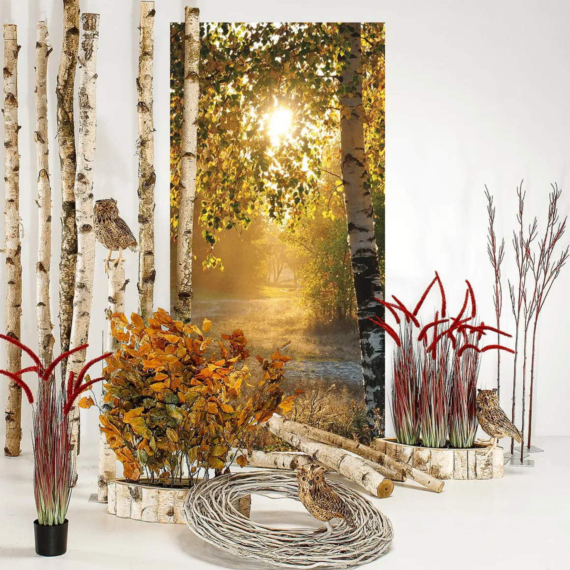 Pancarta De Tela Ignífuga "Abedules De Otoño" De Tela De Bandera 100 X 200 Cm