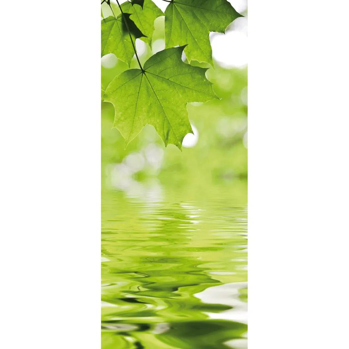 Pancarta De Tela Ignífuga "Hojas De Arce Y Agua" De Tela De Bandera 75 X 180 Cm