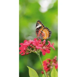 Pancarta De Tela Ignífuga "Mariposa Sobre Flor Roja" En Tela De Pancarta 100 X 200 Cm