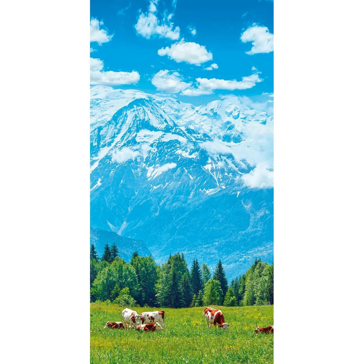 Pancarta De Tela Ignífuga "Vacas En El Pasto Frente A Bergen" De Tela De Bandera 100 X 200 Cm