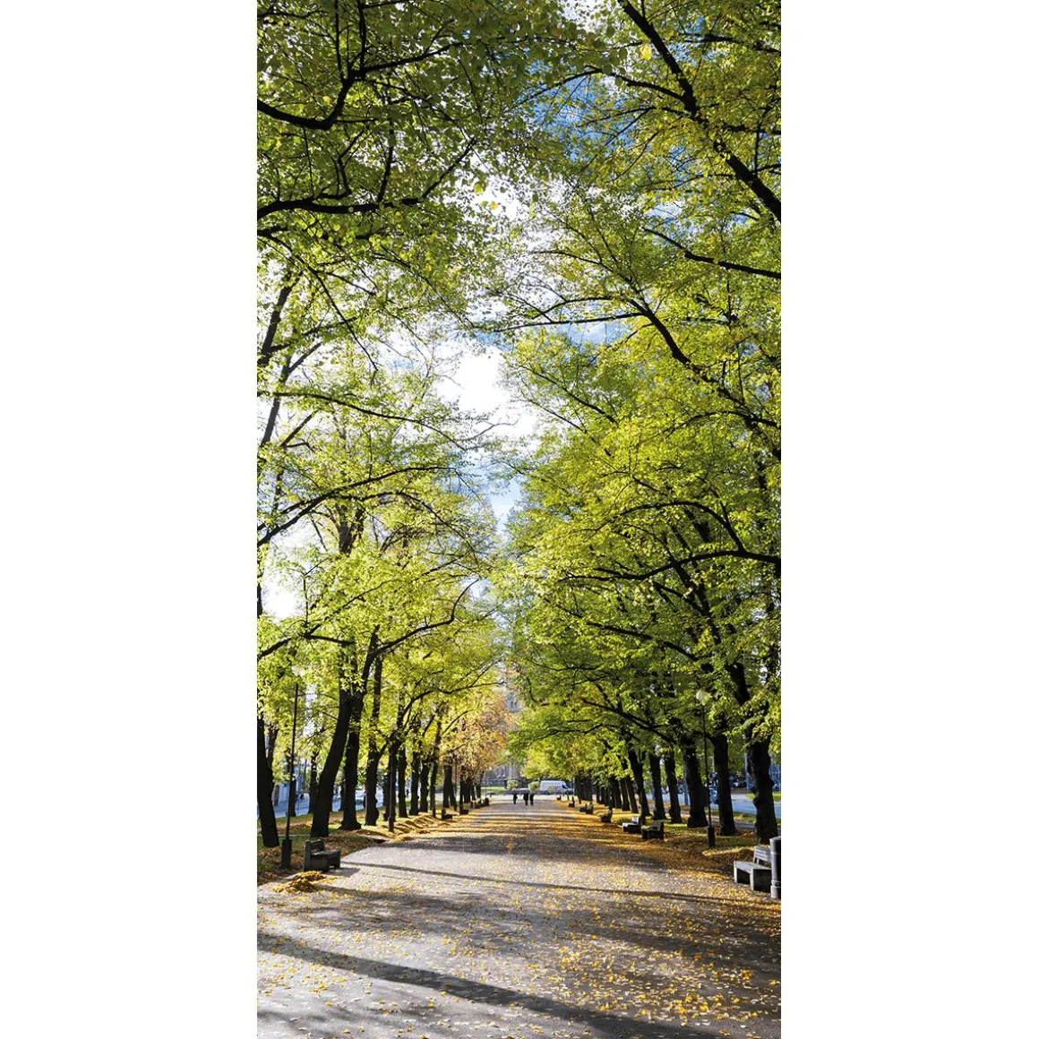 Pancarta De Tela Ignífuga "Avenida En El Parque" De Tela De Bandera 100 X 200 Cm