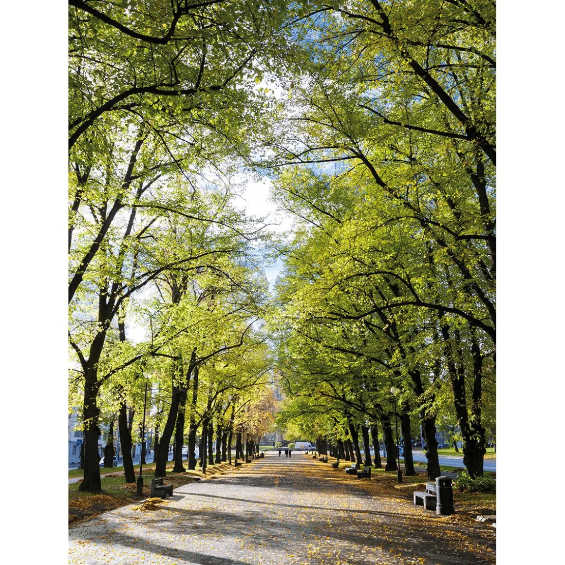 Pancarta De Tela XL "Avenida En El Parque" De Tela De Bandera Ignífuga 150 X 200 Cm