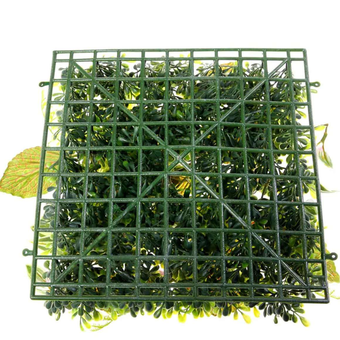 Panel Artificial De Arbusto De Fitonia 25 X 25 Cm