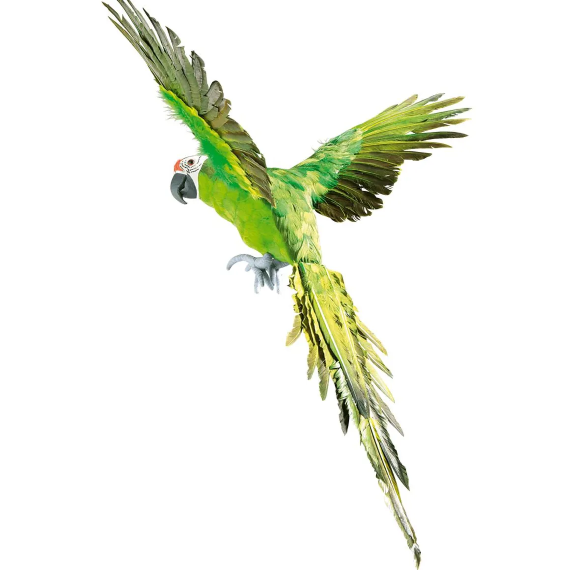Papagayo Decorativo Verde Longitud 77 Cm