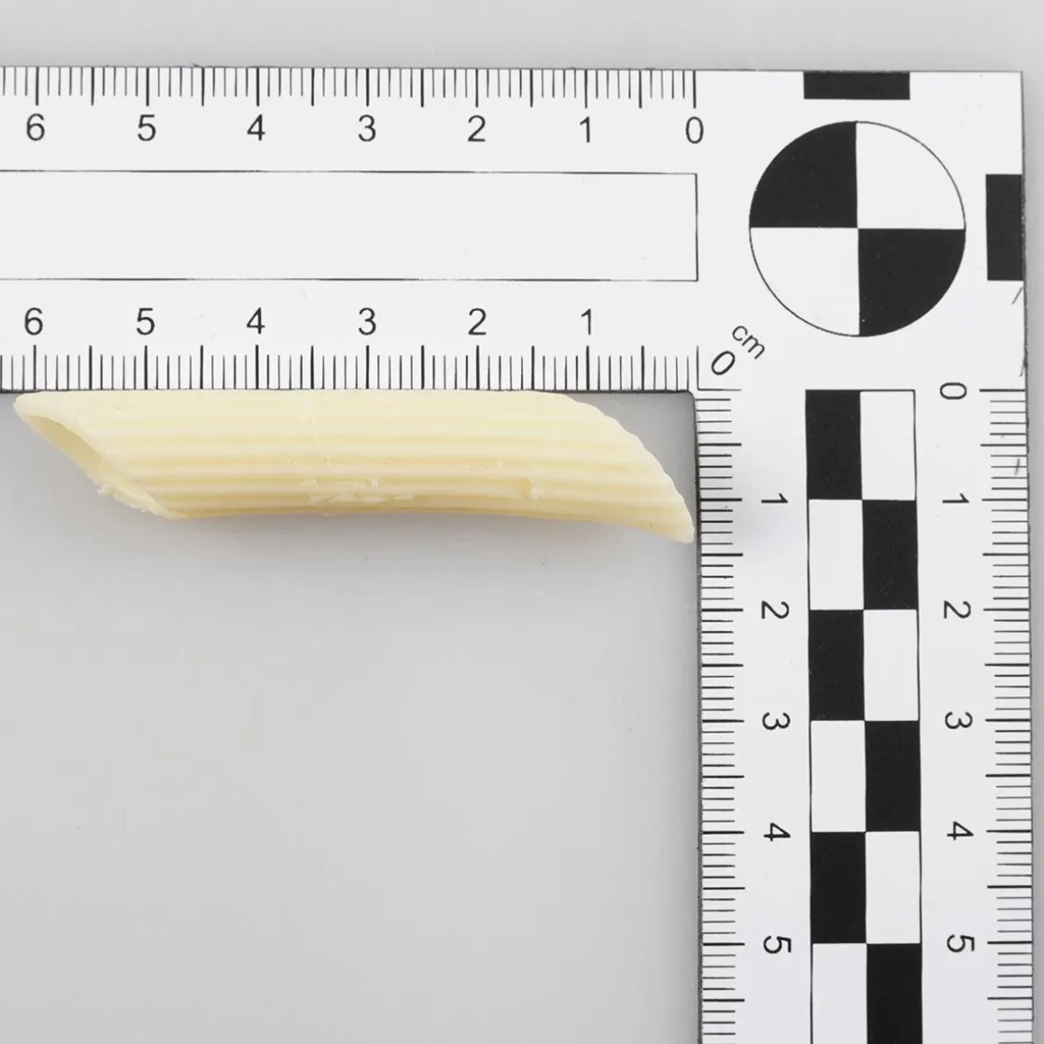 Pasta-manga Penne 100 G