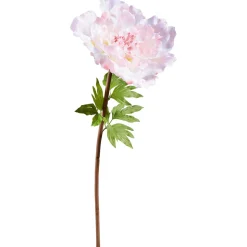 Peonía Gigante 128 Cm