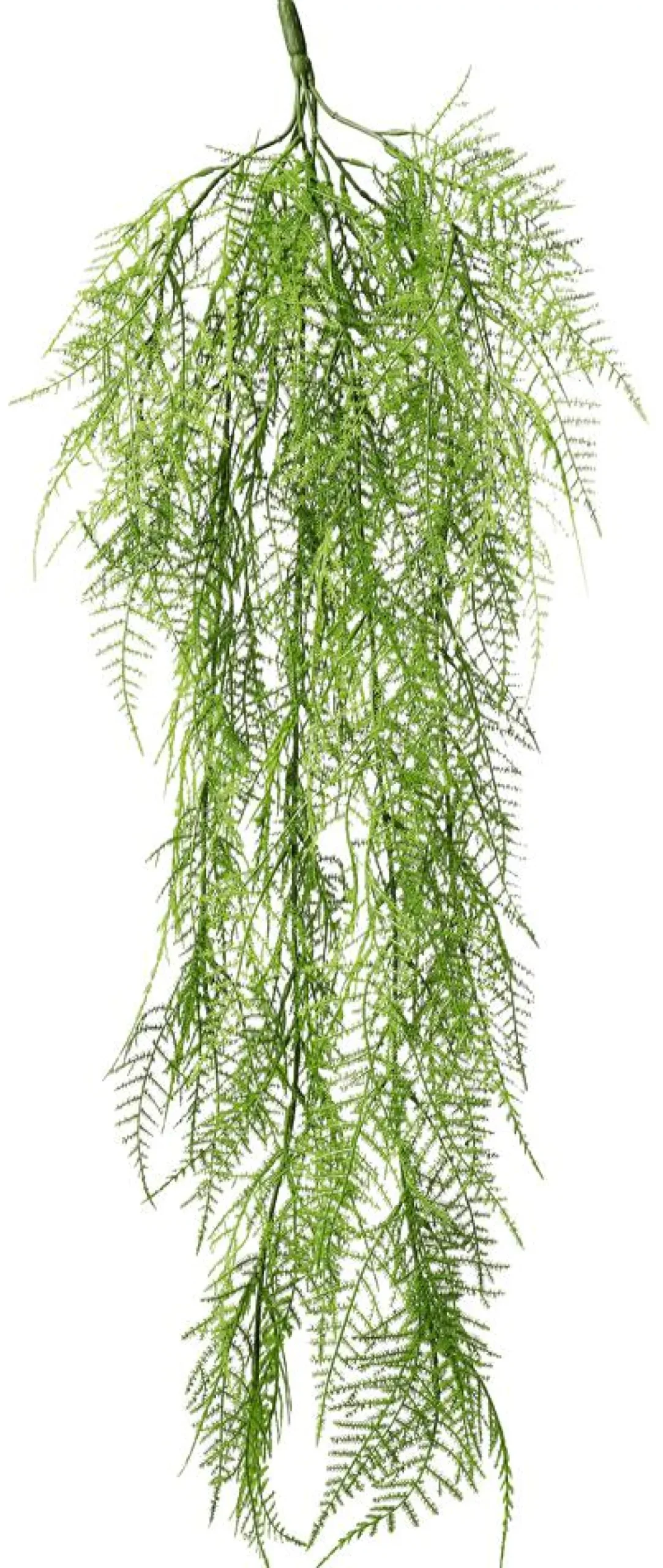 Percha Velo Espárrago Ornamental 80 Cm