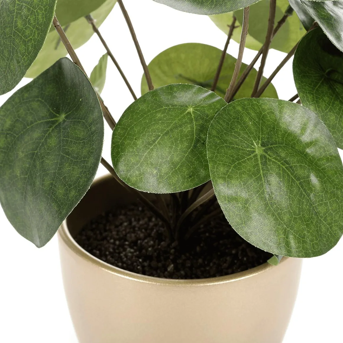 Planta Artificial Deco Pilea En Maceta, Pancake 25 Cm
