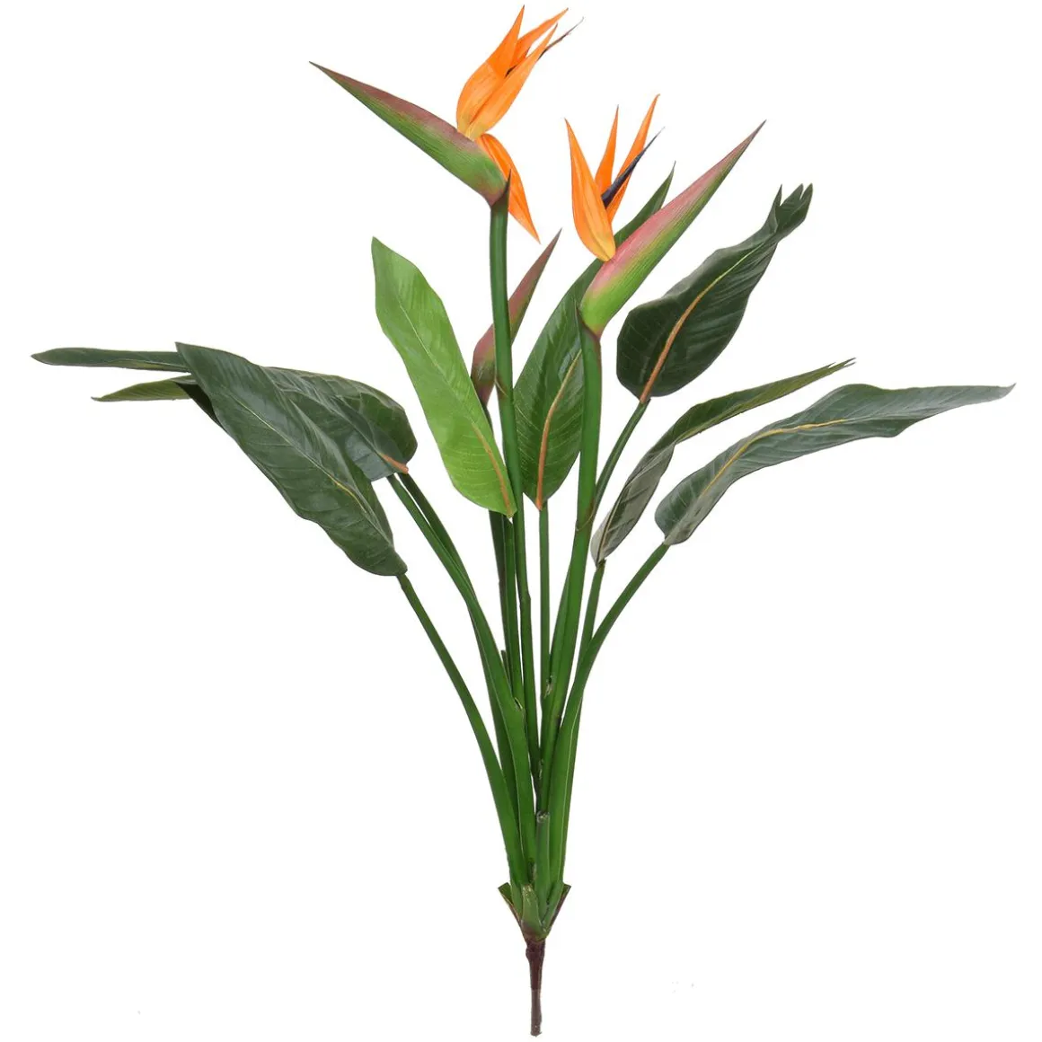 Planta Artificial Sterlizia Pick Con Flores 103 Cm