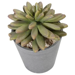 Plantas Suculentas Artificiales 20 Cm