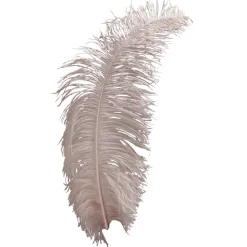 Pluma De Avestruz Sombreada