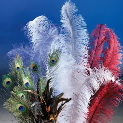 Pluma De Avestruz Sombreada
