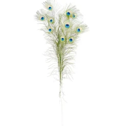 Plumas De Pavo Real, 10 Piezas
