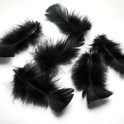 Plumas Decorativas Negras, 20 G