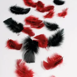 Plumas Decorativas Negras, 20 G