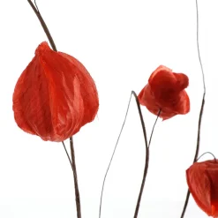 Rama Artificial De Physalis, 80 Cm
