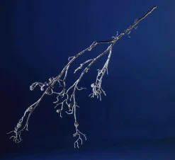 Rama Cubierta De Nieve, Longitud 140 Cm