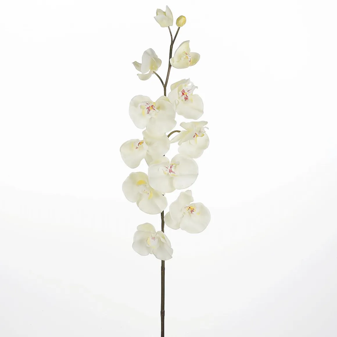 Rama De Orquídea Deco Blanca 110 Cm