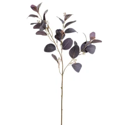Rama Decorativa De Eucalipto, 70 Cm De Largo