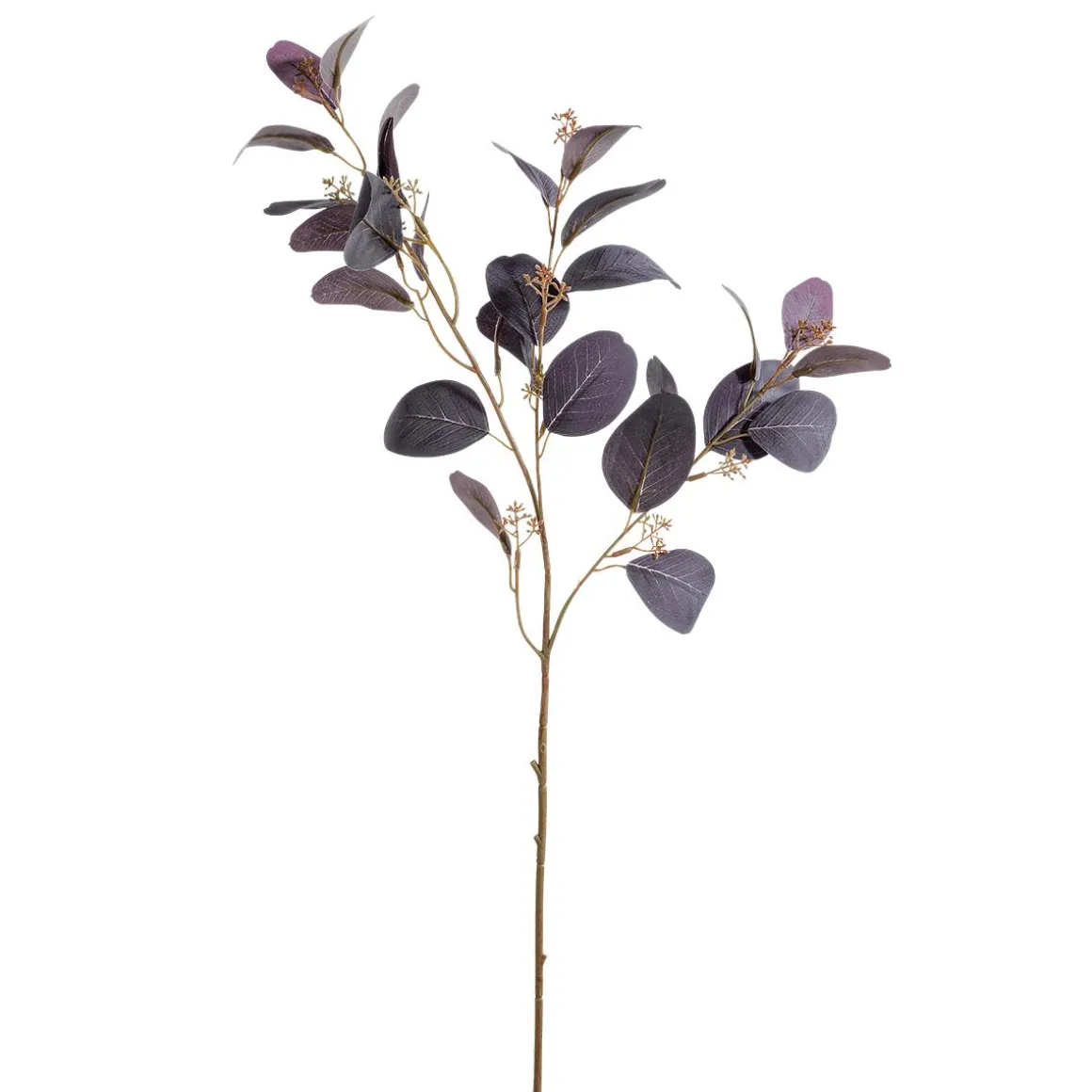 Rama Decorativa De Eucalipto, 70 Cm De Largo